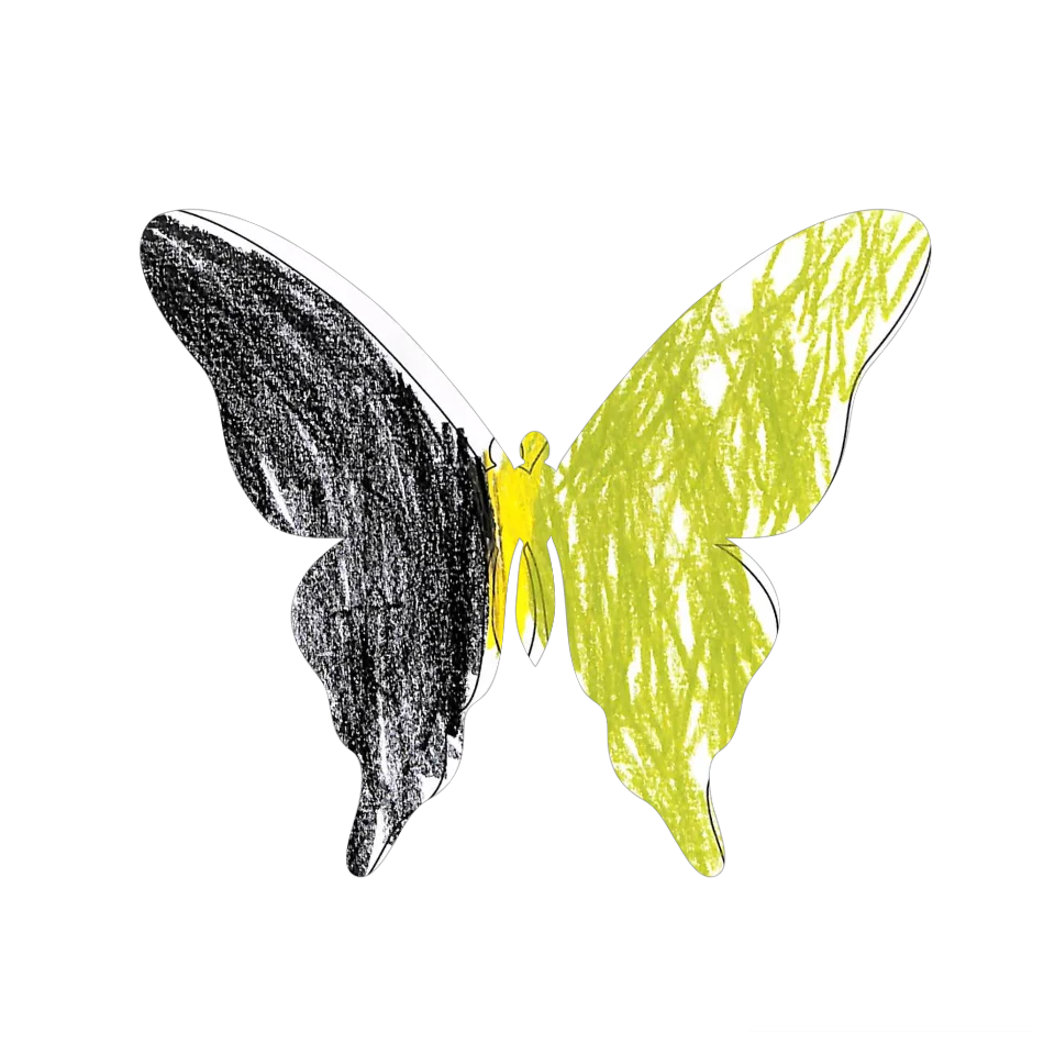 Original Butterfly Image