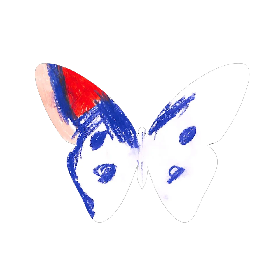 Original Butterfly Image