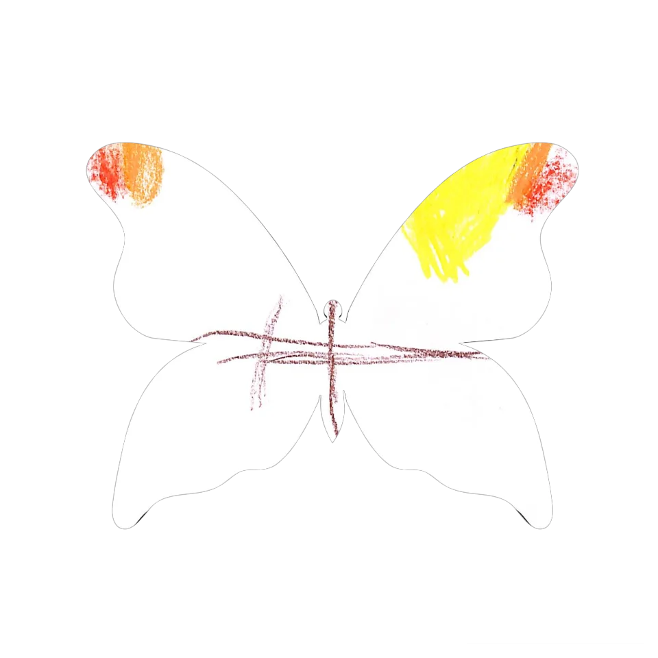 Original Butterfly Image