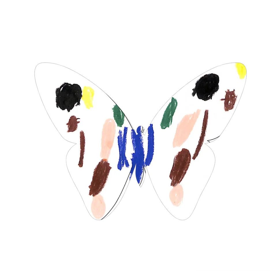 Original Butterfly Image