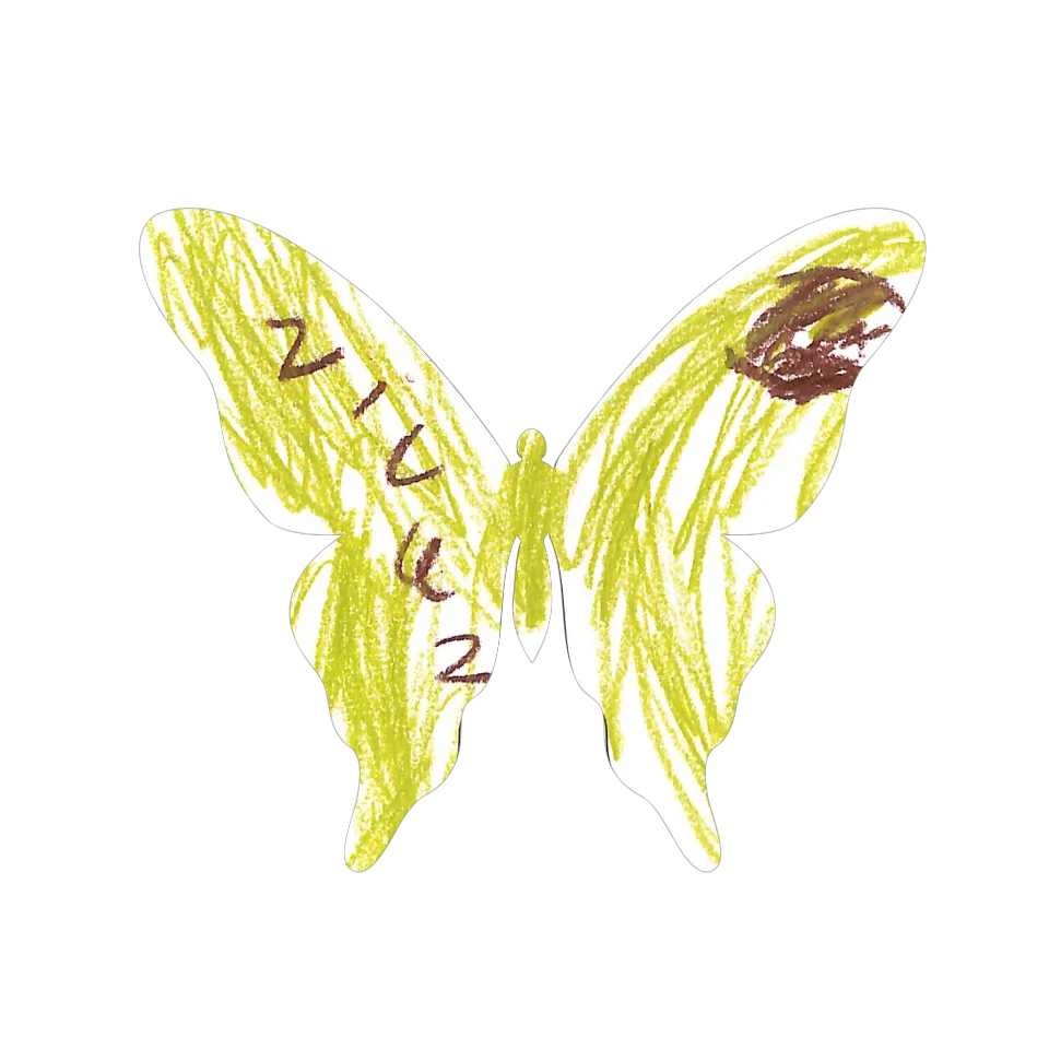 Original Butterfly Image