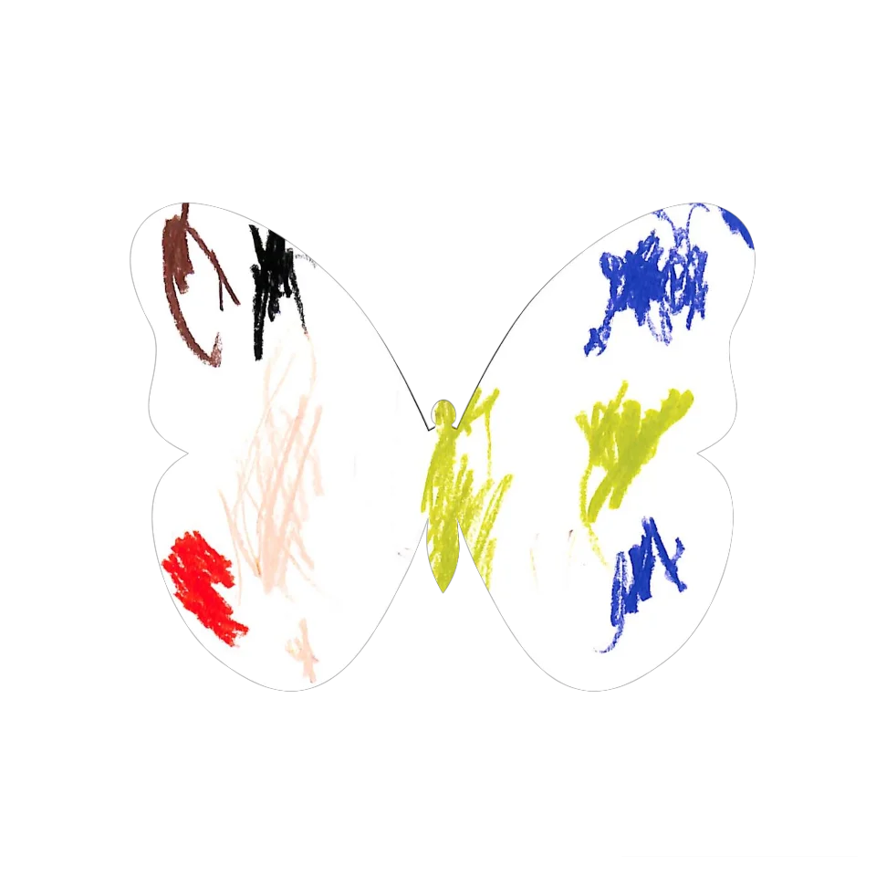 Original Butterfly Image