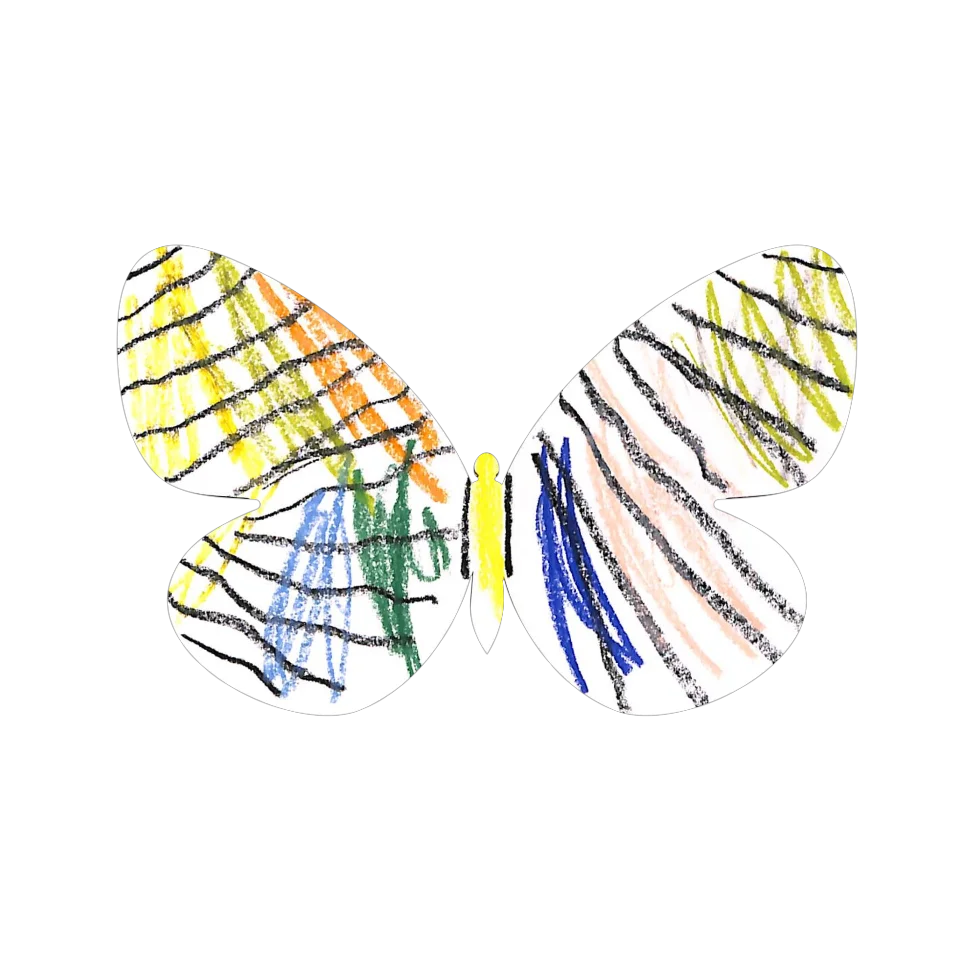 Original Butterfly Image