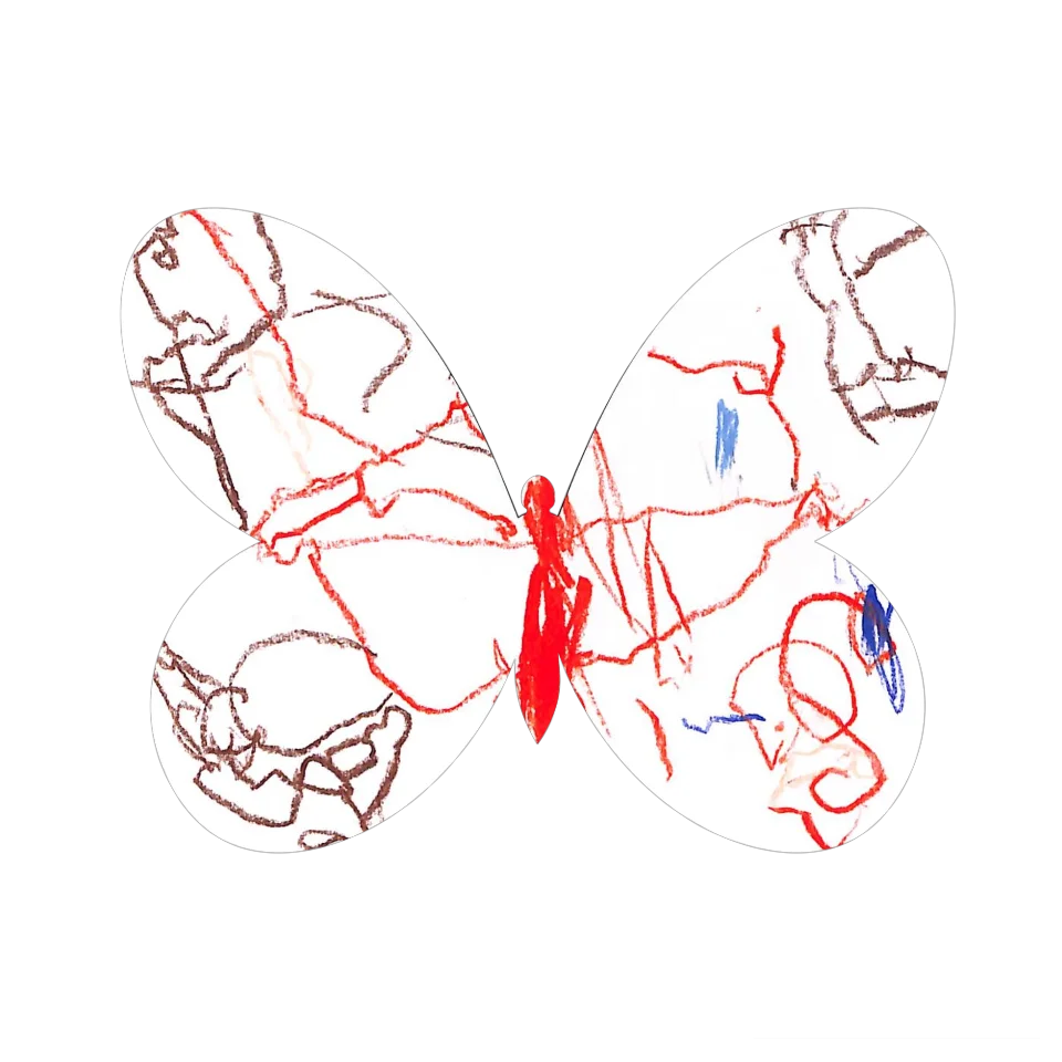 Original Butterfly Image