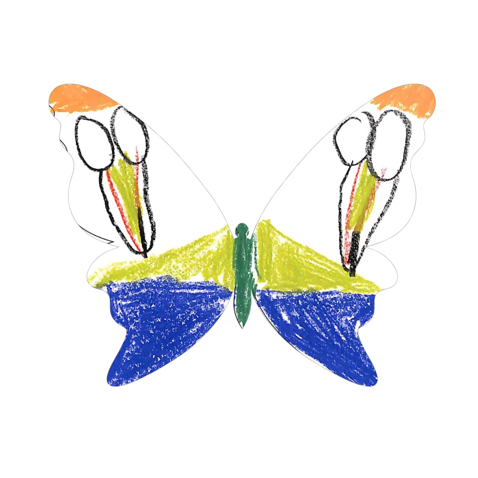 Original Butterfly Image