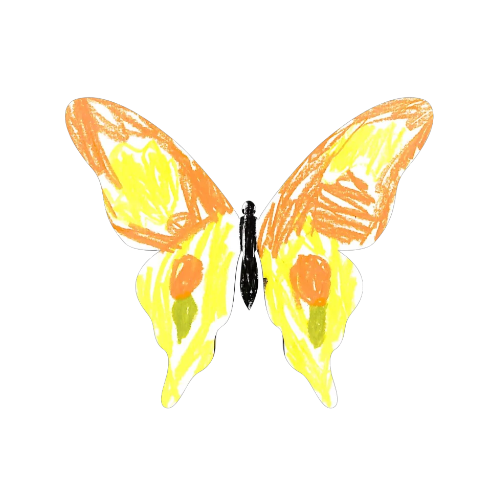 Original Butterfly Image