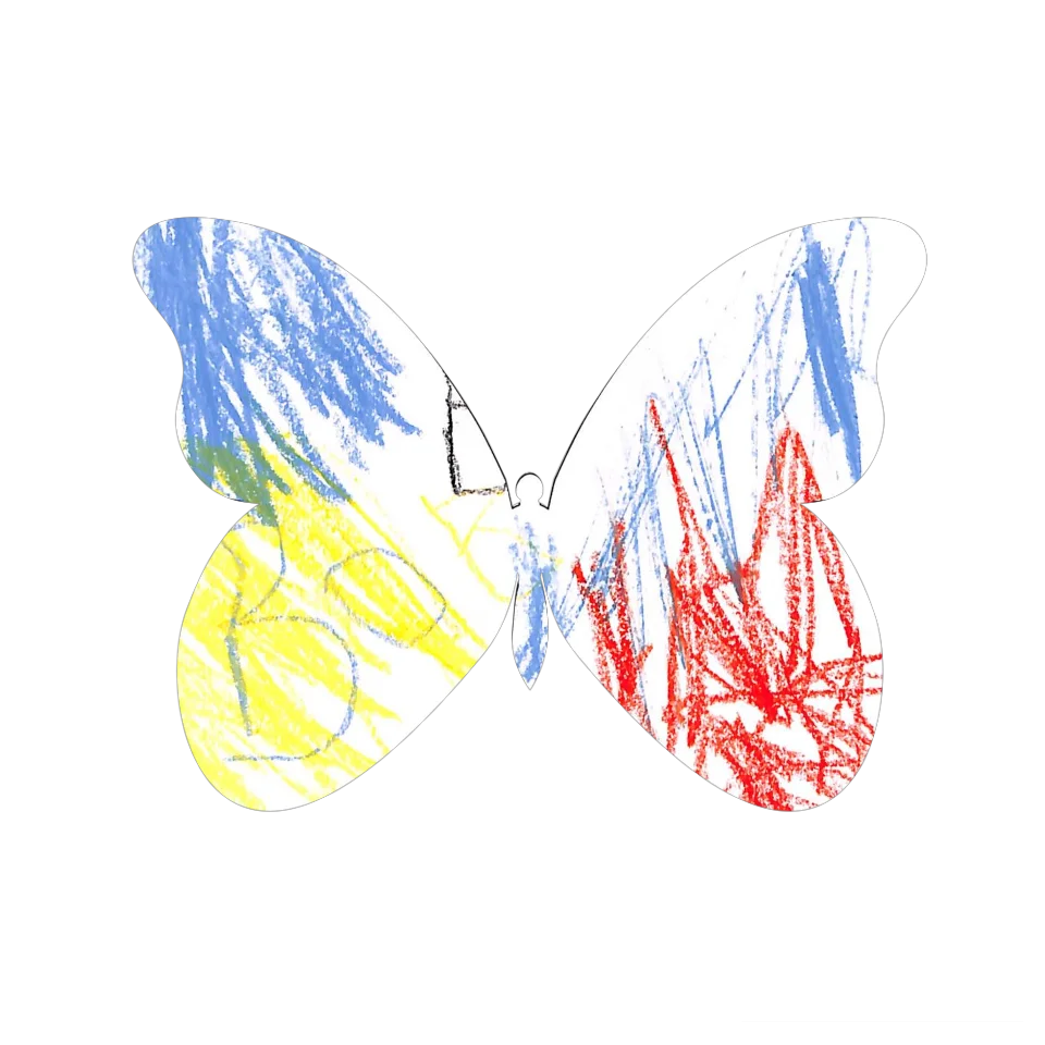 Original Butterfly Image