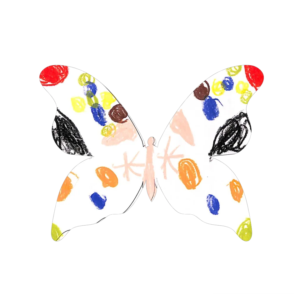 Original Butterfly Image