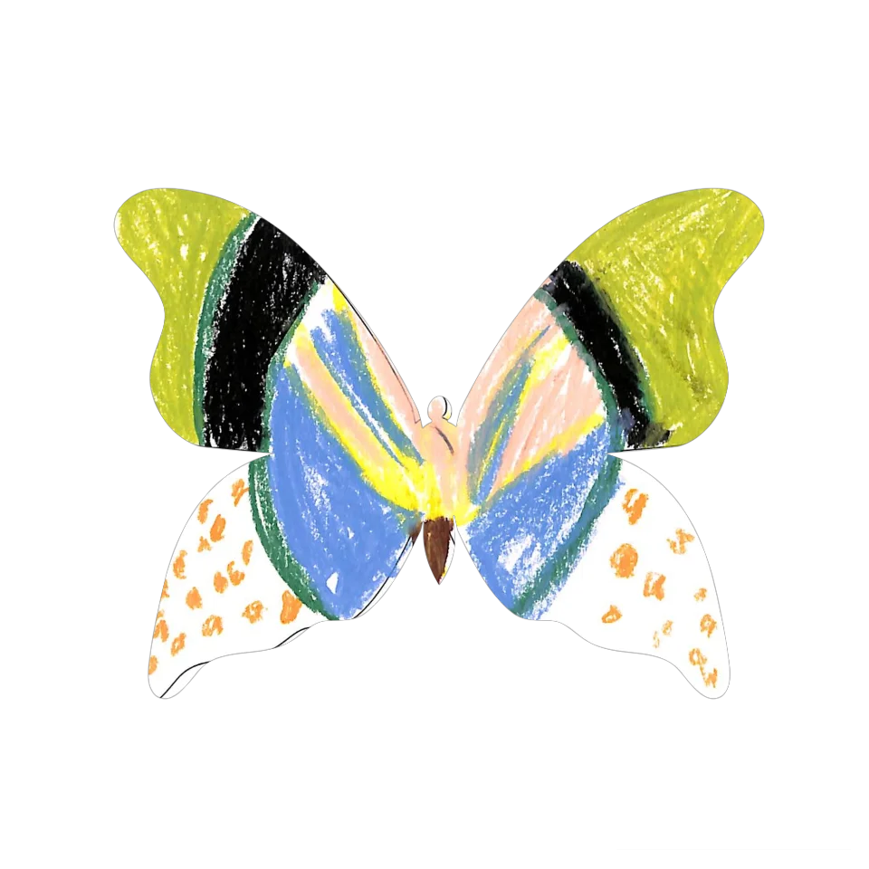 Original Butterfly Image