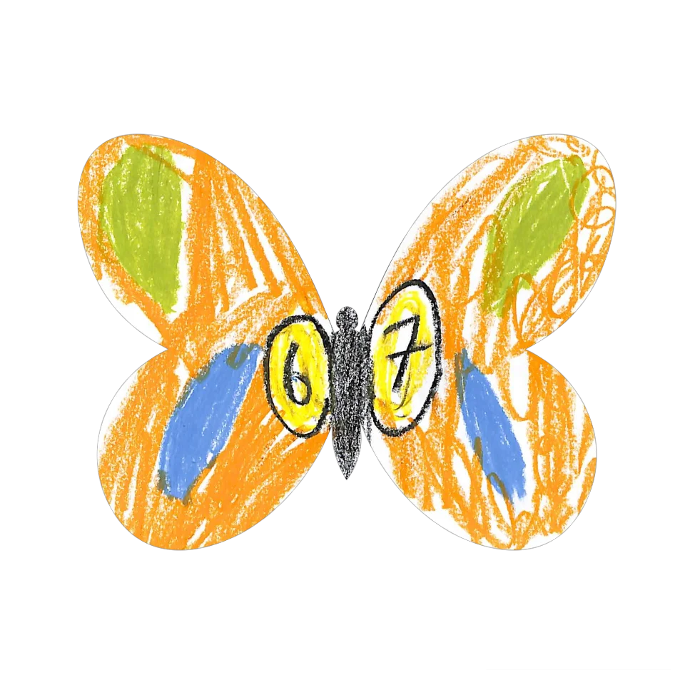 Original Butterfly Image