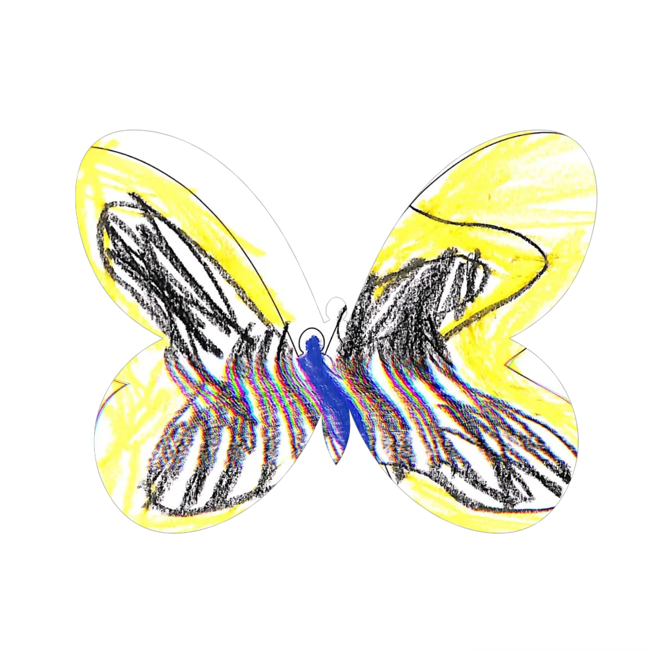 Original Butterfly Image