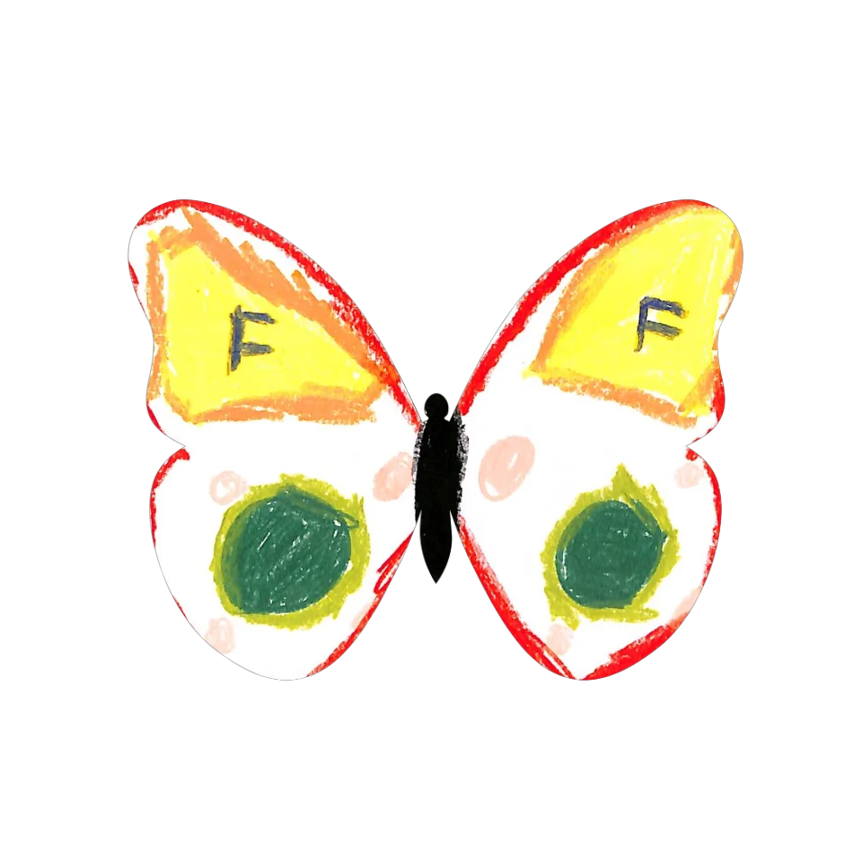 Original Butterfly Image
