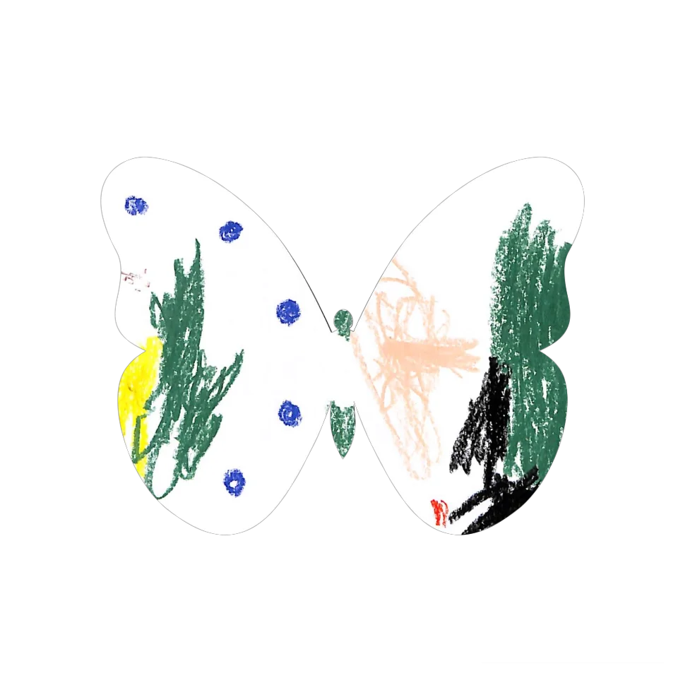 Original Butterfly Image