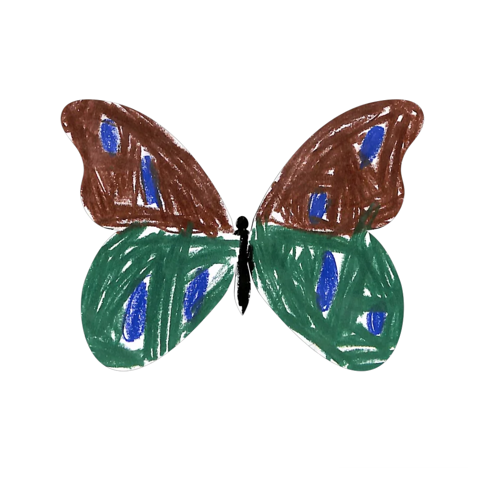 Original Butterfly Image
