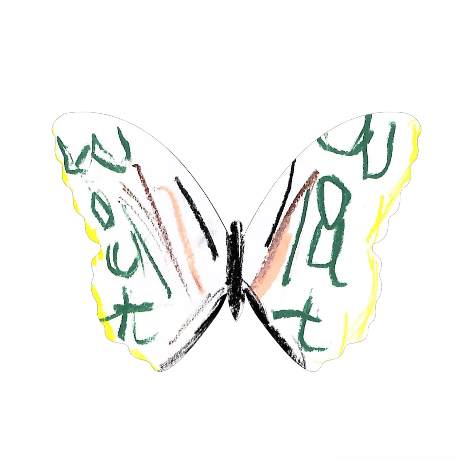 Original Butterfly Image