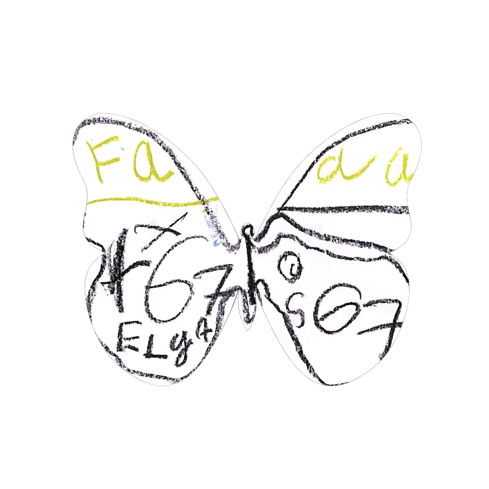 Original Butterfly Image