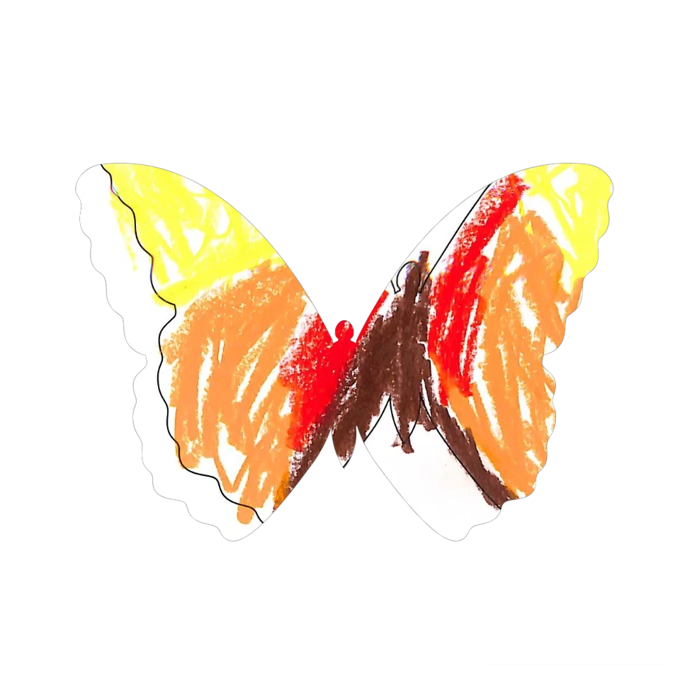 Original Butterfly Image