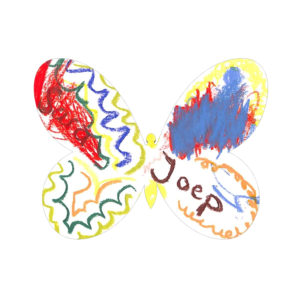 Original Butterfly Image