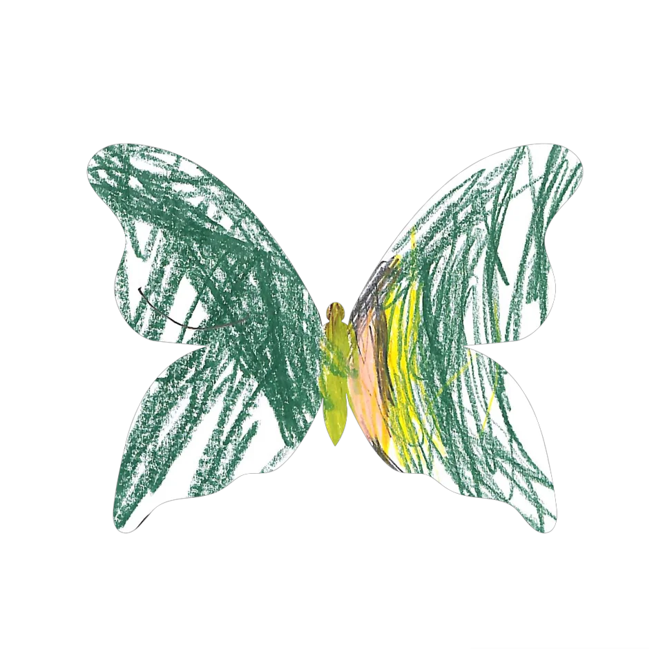 Original Butterfly Image