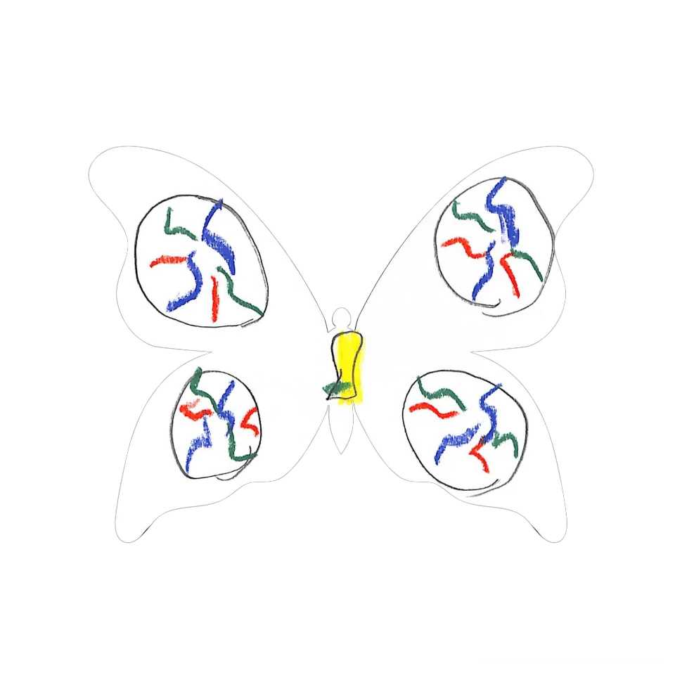 Original Butterfly Image