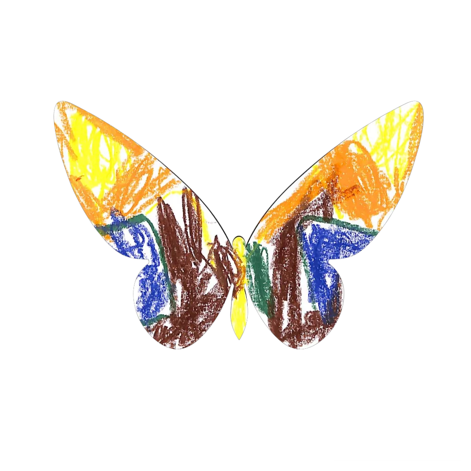 Original Butterfly Image