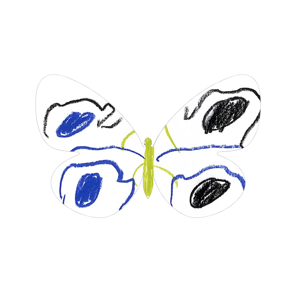 Original Butterfly Image