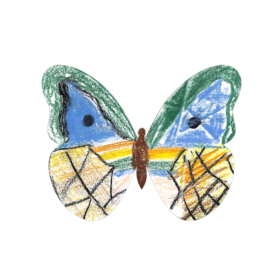 Original Butterfly Image