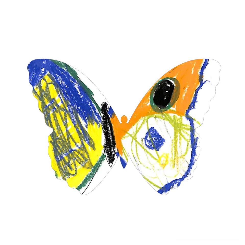 Original Butterfly Image