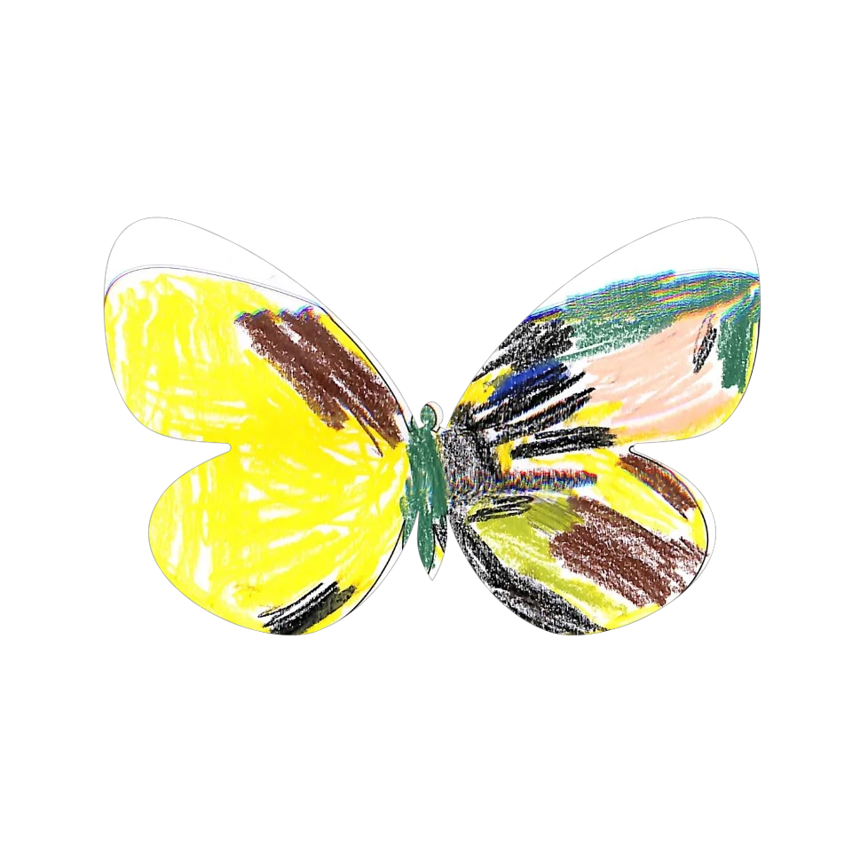 Original Butterfly Image