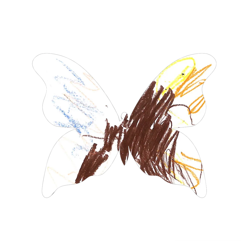 Original Butterfly Image