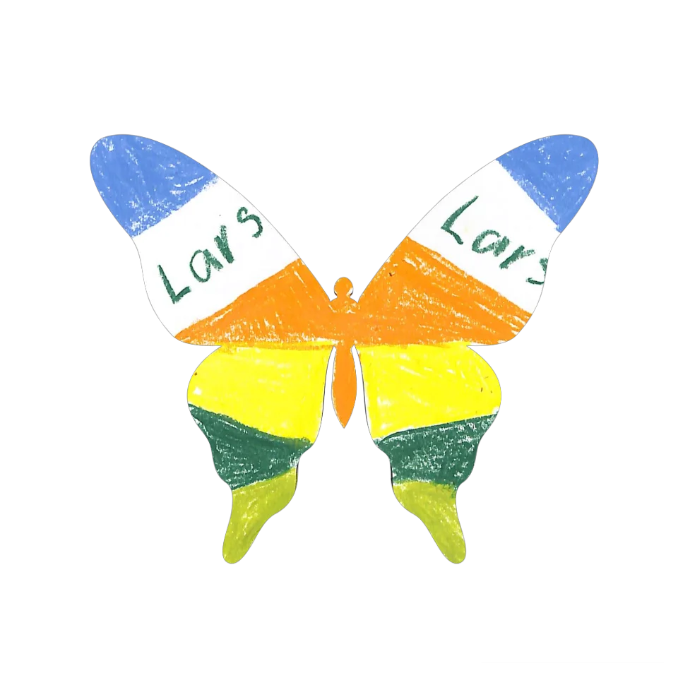 Original Butterfly Image
