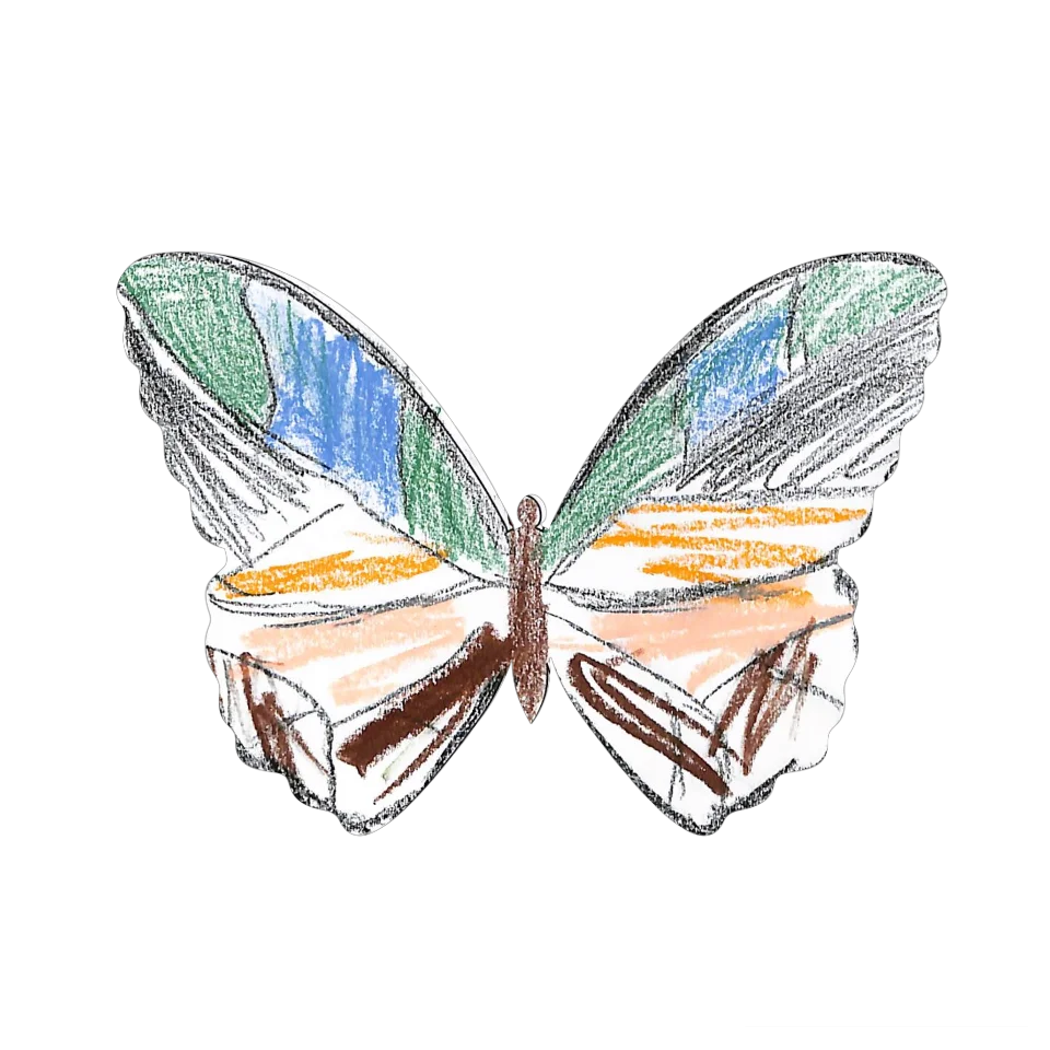 Original Butterfly Image