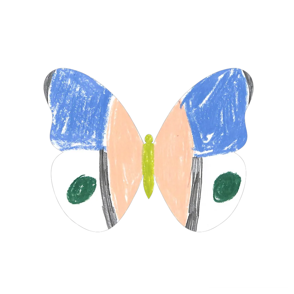 Original Butterfly Image