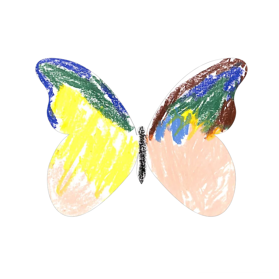 Original Butterfly Image