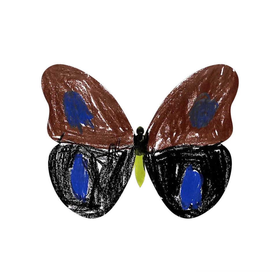 Original Butterfly Image