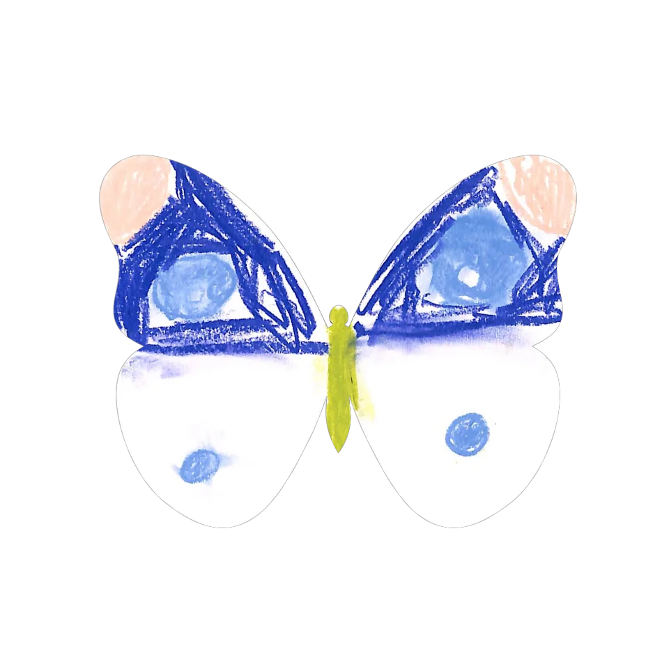 Original Butterfly Image