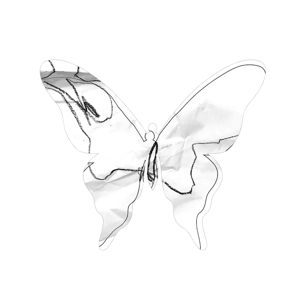 Original Butterfly Image
