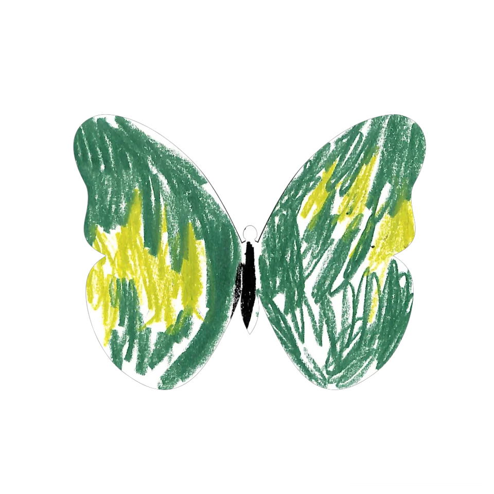Original Butterfly Image