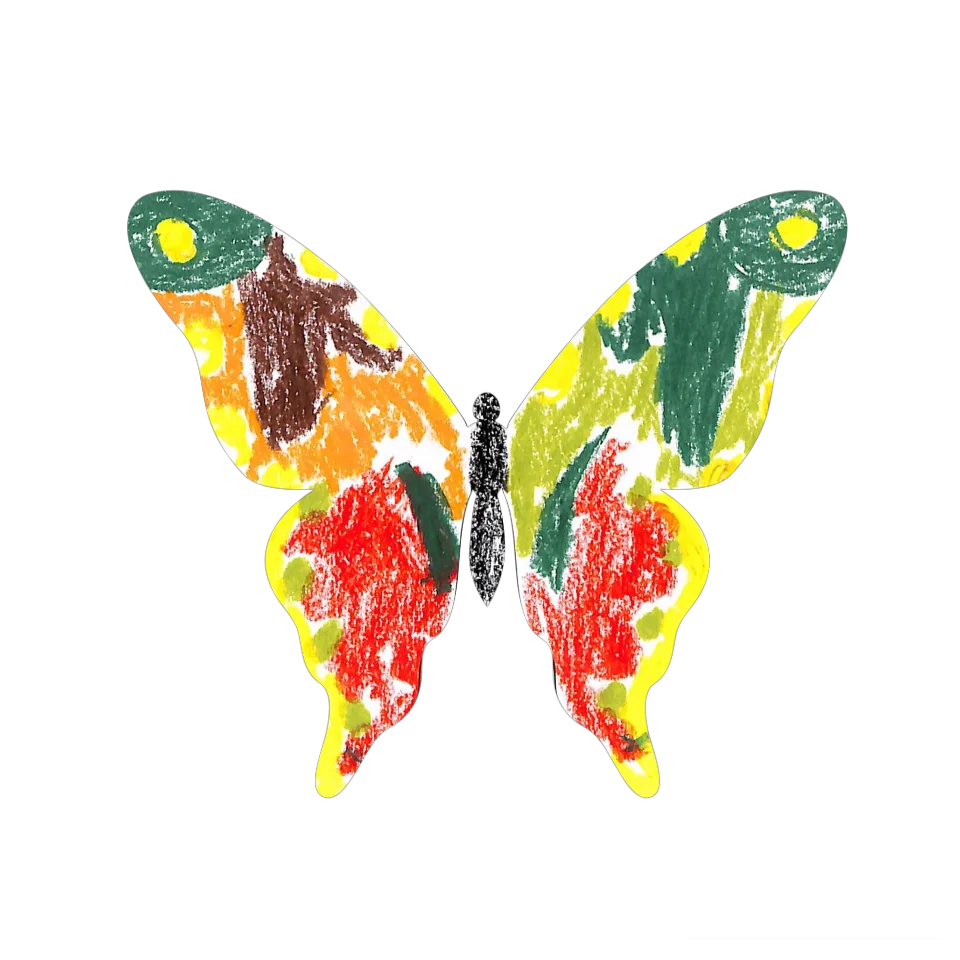 Original Butterfly Image