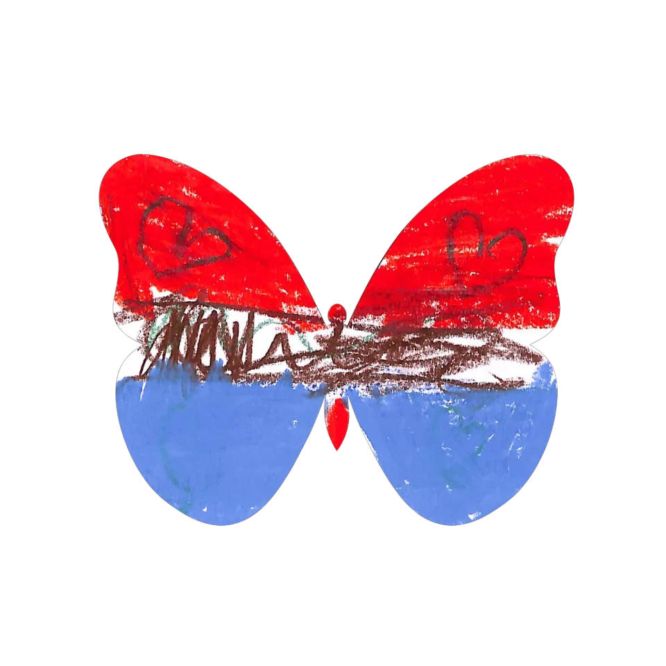 Original Butterfly Image