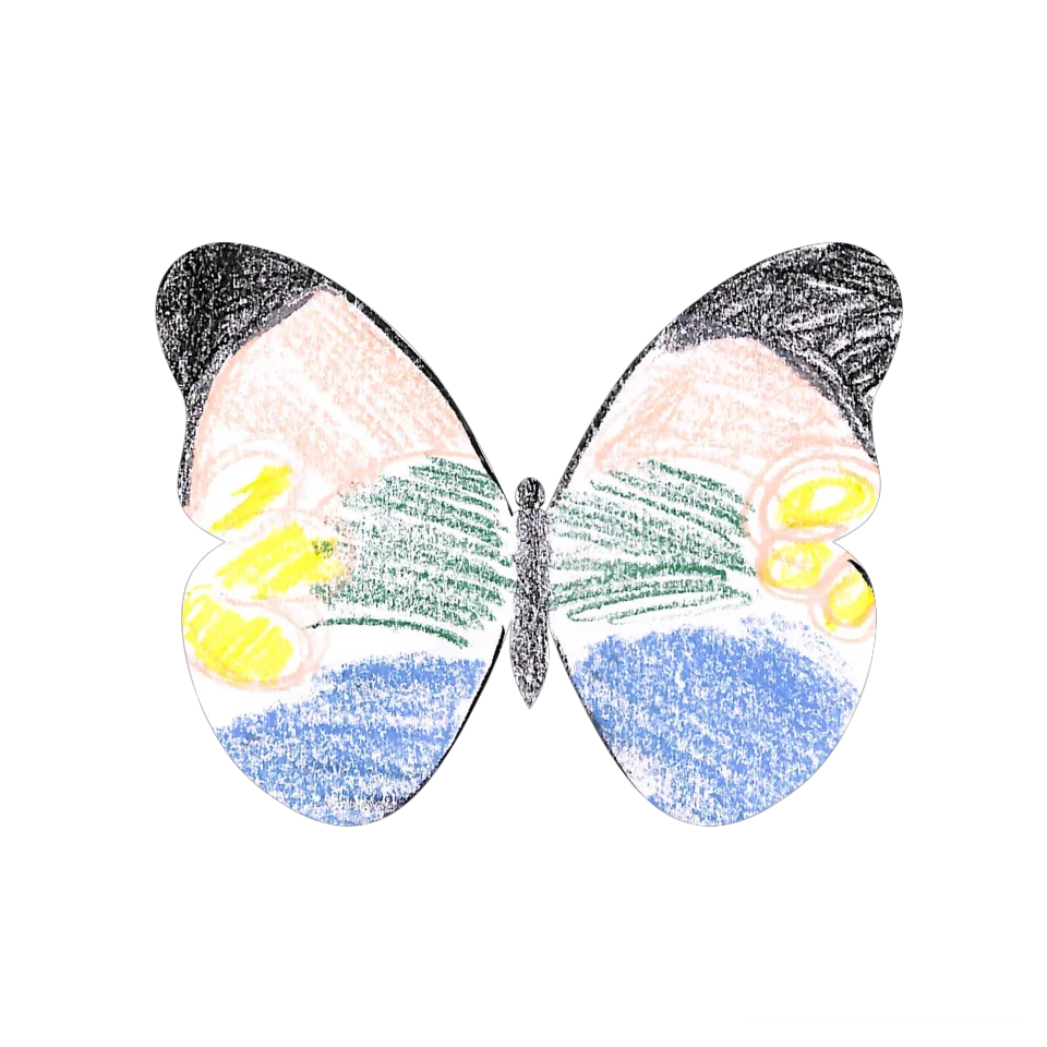 Original Butterfly Image