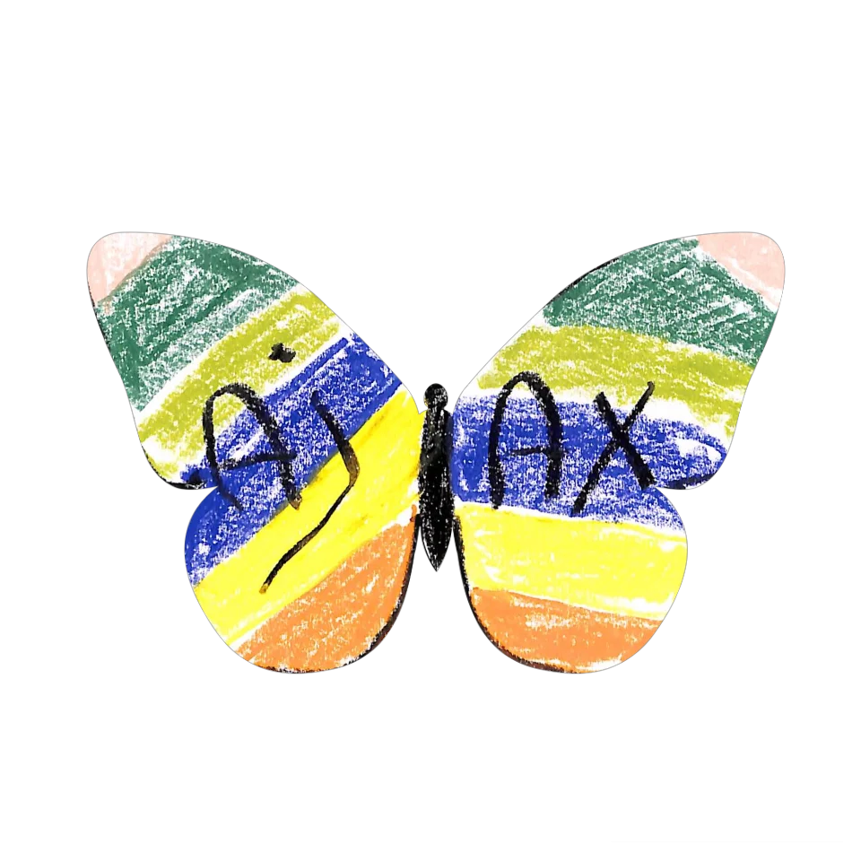 Original Butterfly Image