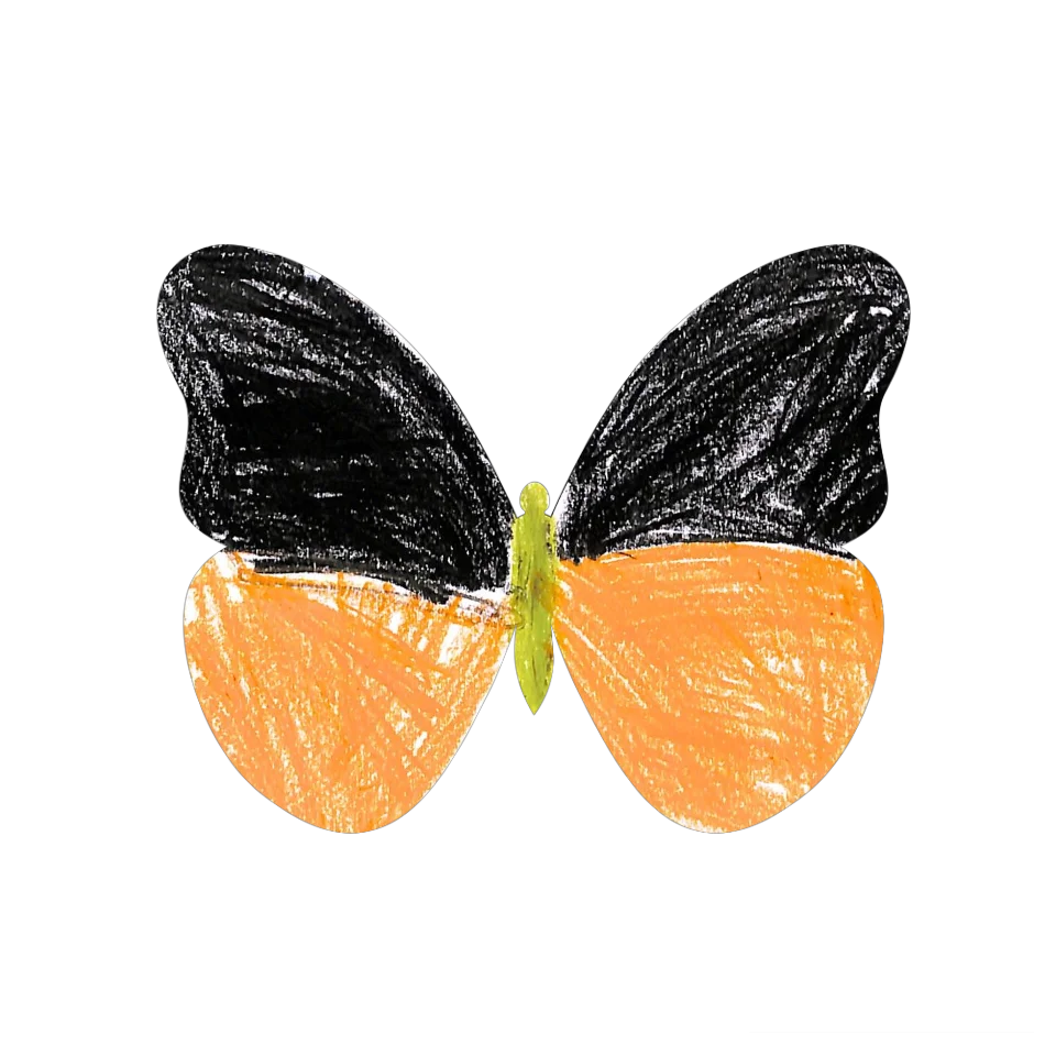 Original Butterfly Image