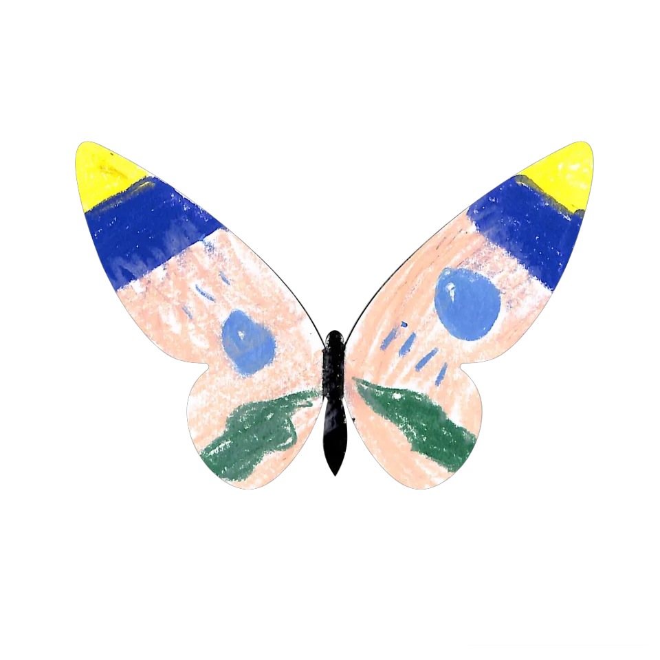 Original Butterfly Image