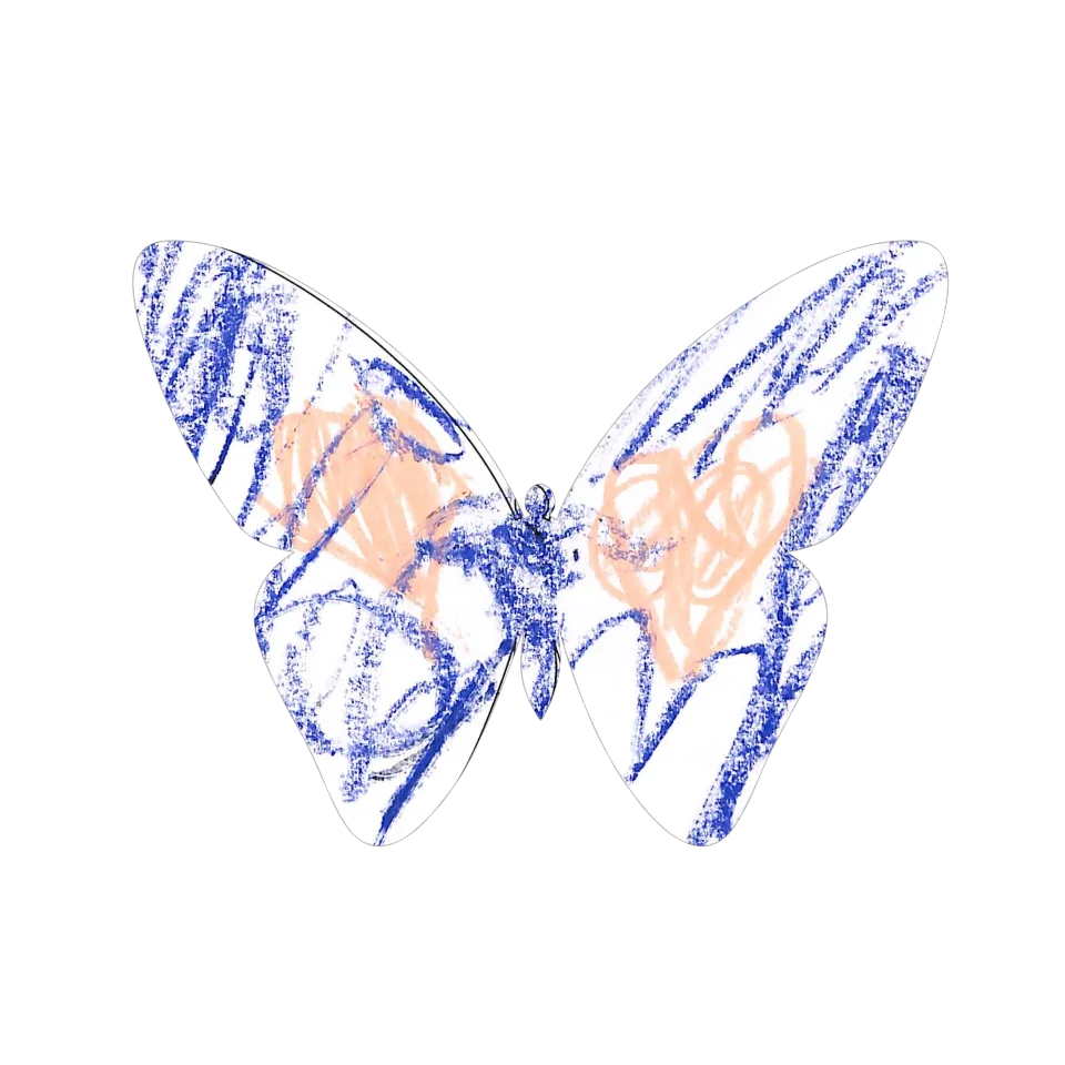 Original Butterfly Image