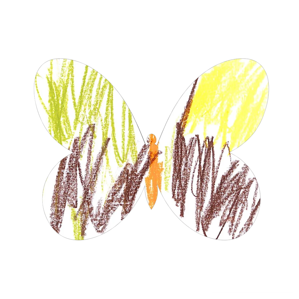 Original Butterfly Image