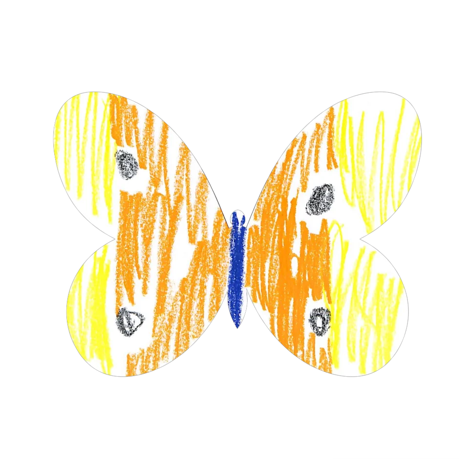 Original Butterfly Image