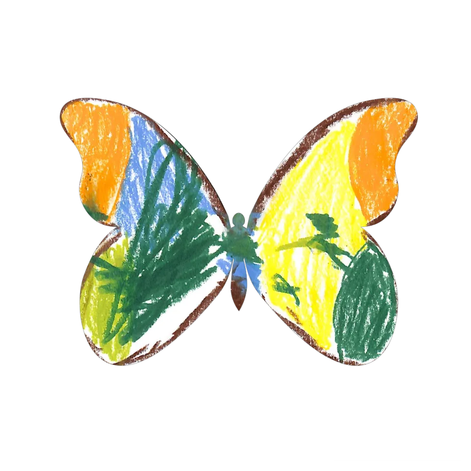Original Butterfly Image