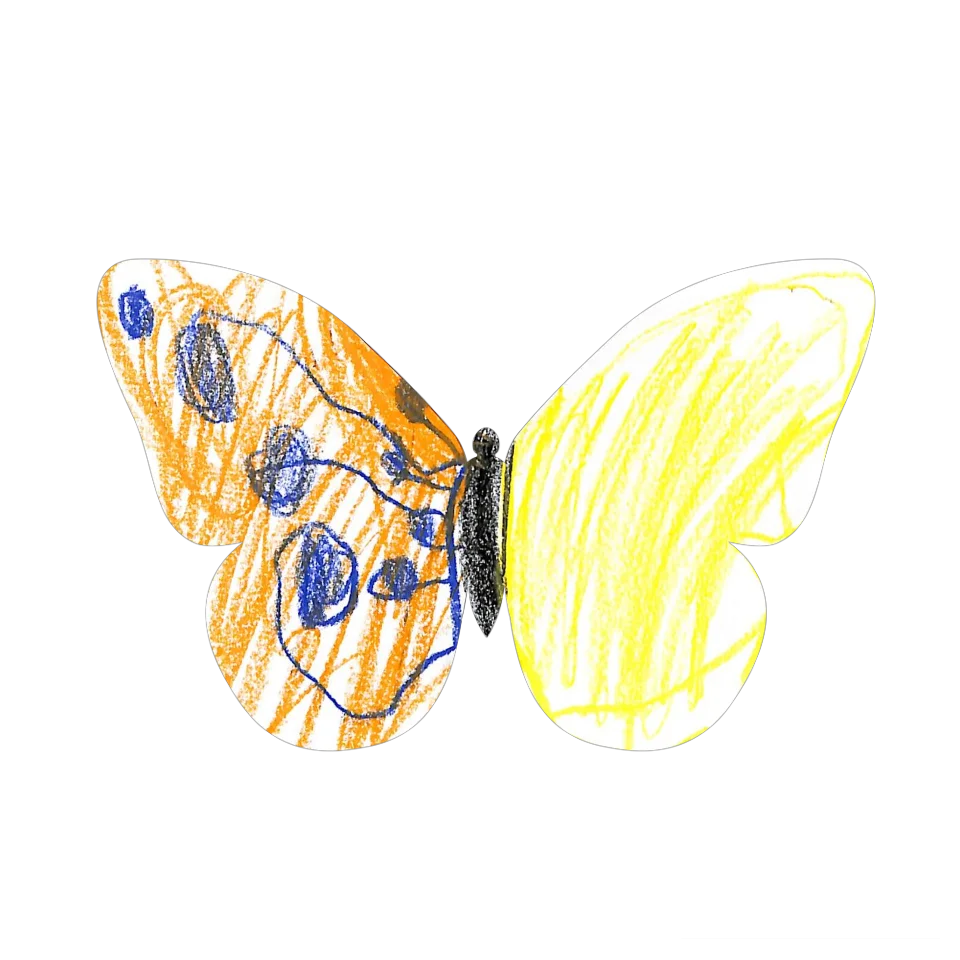 Original Butterfly Image