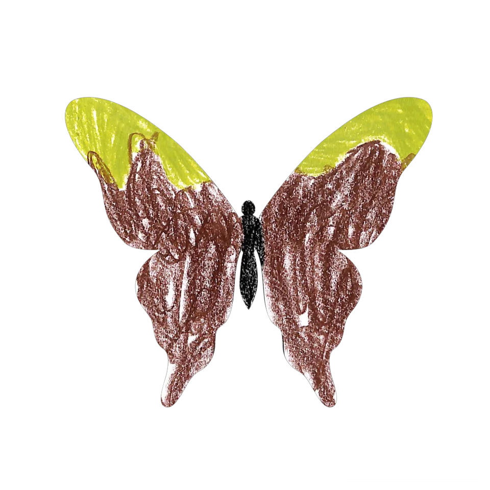 Original Butterfly Image